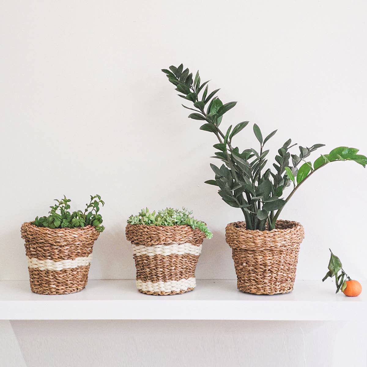 Handwoven Wicker Savar Nesting Plant Basket - Set of 3